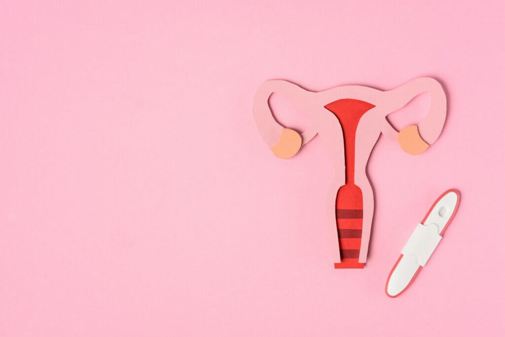 elevated view of female reproductive system and pregnancy test on pink
